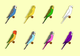 鹦鹉卡通插画设计图片