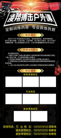 凌翔搏击