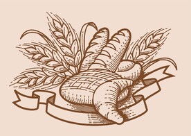 食物 小麦 面包 手绘 插画 