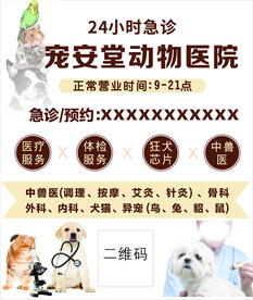 宠物海报