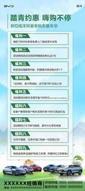 新能源购车嘉年华活动海报