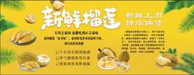 泰国榴莲