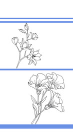 线条花