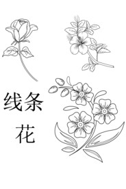 线条花