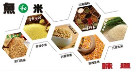 鱼和米的味道