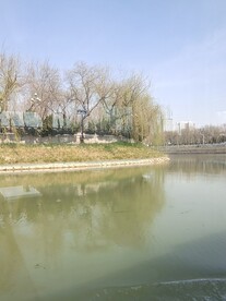 运河沿岸