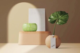 化妆品样机 