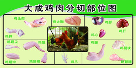 鸡肉分切图