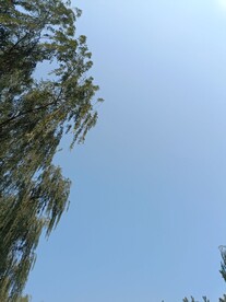 深蓝色风景
