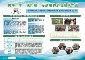 肉牛肉羊瘦肉精等禁用物质管控