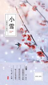 小雪手机海报