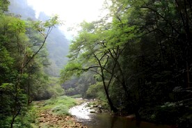 山涧流水