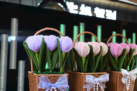 郁金香花束