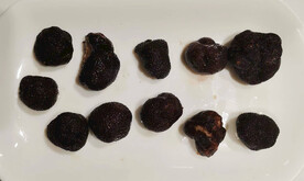 云南野生菌 黑松露