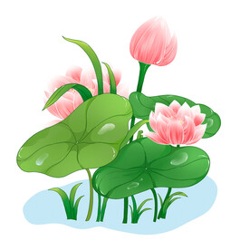 荷花素材