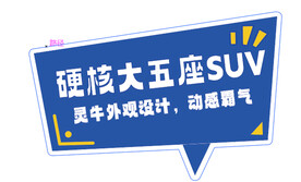 揽巡异型卖点