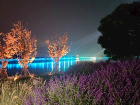 三岔湖夜景