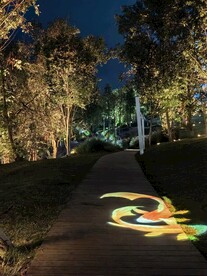 三岔湖夜景