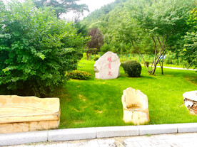 绿色园林风景 自然风景