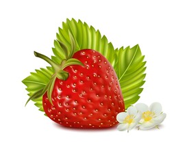 草莓水果