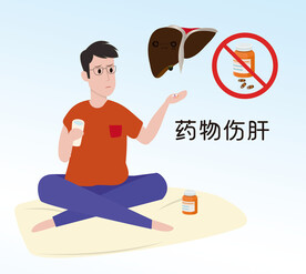  药伤肝 