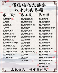 杨氏太极拳