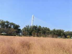 粉黛
