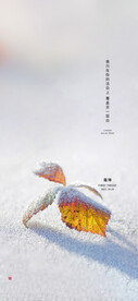 霜降 传统节气