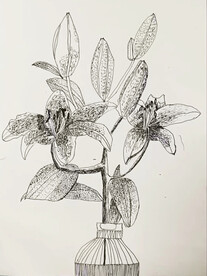 手绘百合花
