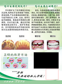 牙科宣传单