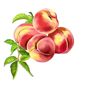 红桃插画设计