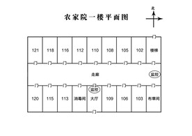 平面图