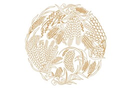 麦穗