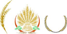麦穗