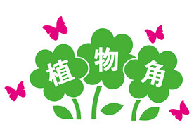 植物角