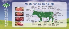 分割图