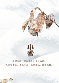 小雪海报