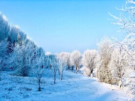 雪地