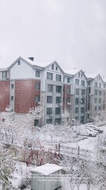 小区雪景