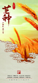芒种