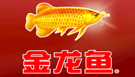 金龙鱼