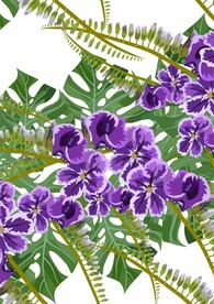紫色花朵绿叶