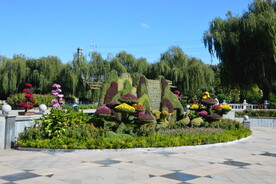 公园风景