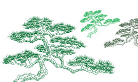 手绘矢量松树线条