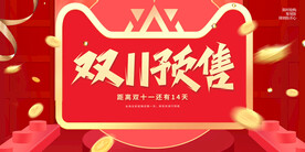 双11