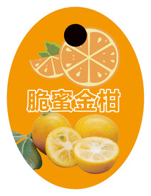 金柑   金桔