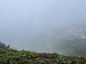 大雾 阴天