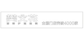 樊文花 面部护理连锁