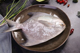 海鲜鱼