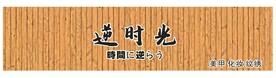 逆时光